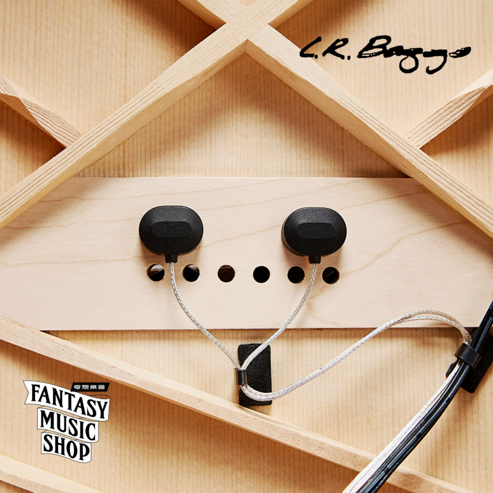 LR Baggs HiFi DNA